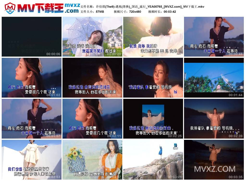 许佳琪(The9)-遇见(替换)_国语_流行_YEA00765